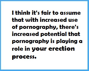 Quote about ED, Porn and the Erection Process