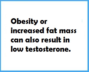 Quote about obesity
